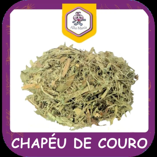 Chapéu de couro — foto do cardápio Alho Mania