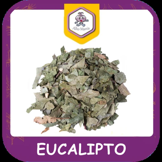 Eucalipto — foto do cardápio Alho Mania