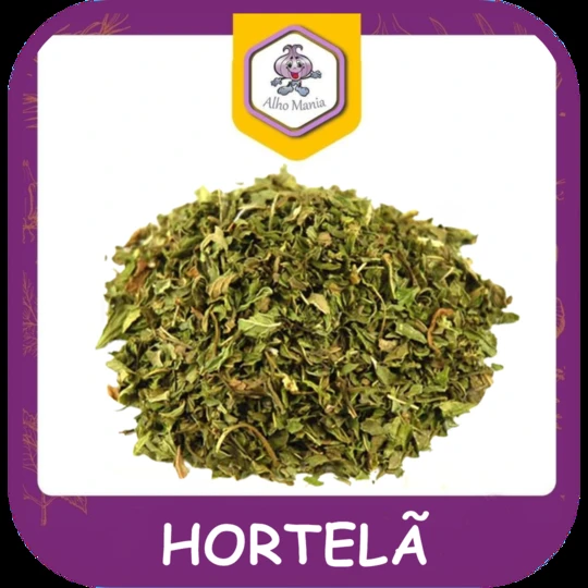 Hortelã — foto do cardápio Alho Mania