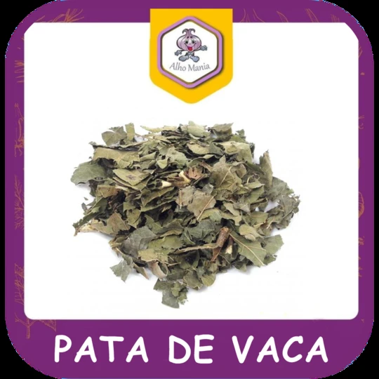 Pata de vaca — foto do cardápio Alho Mania