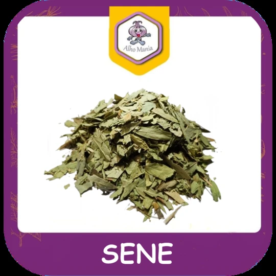 Sene — foto do cardápio Alho Mania
