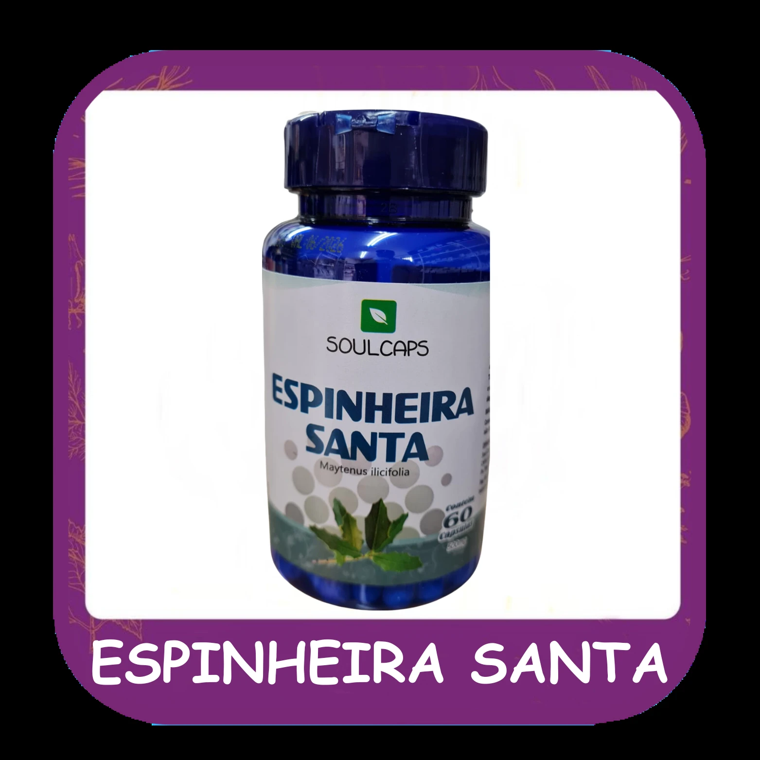 Espinheira santa — foto do cardápio Alho Mania