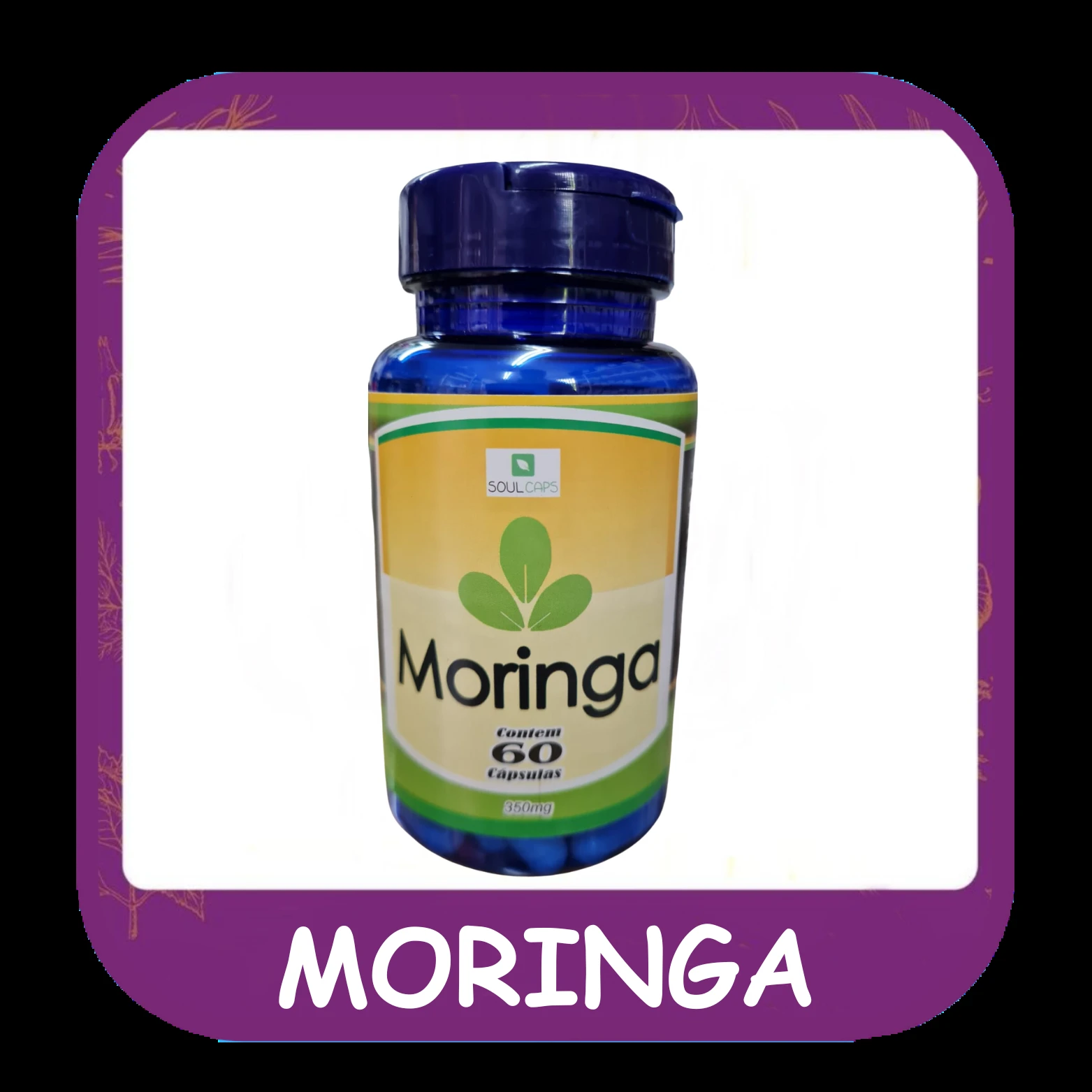 Moringa — foto do cardápio Alho Mania