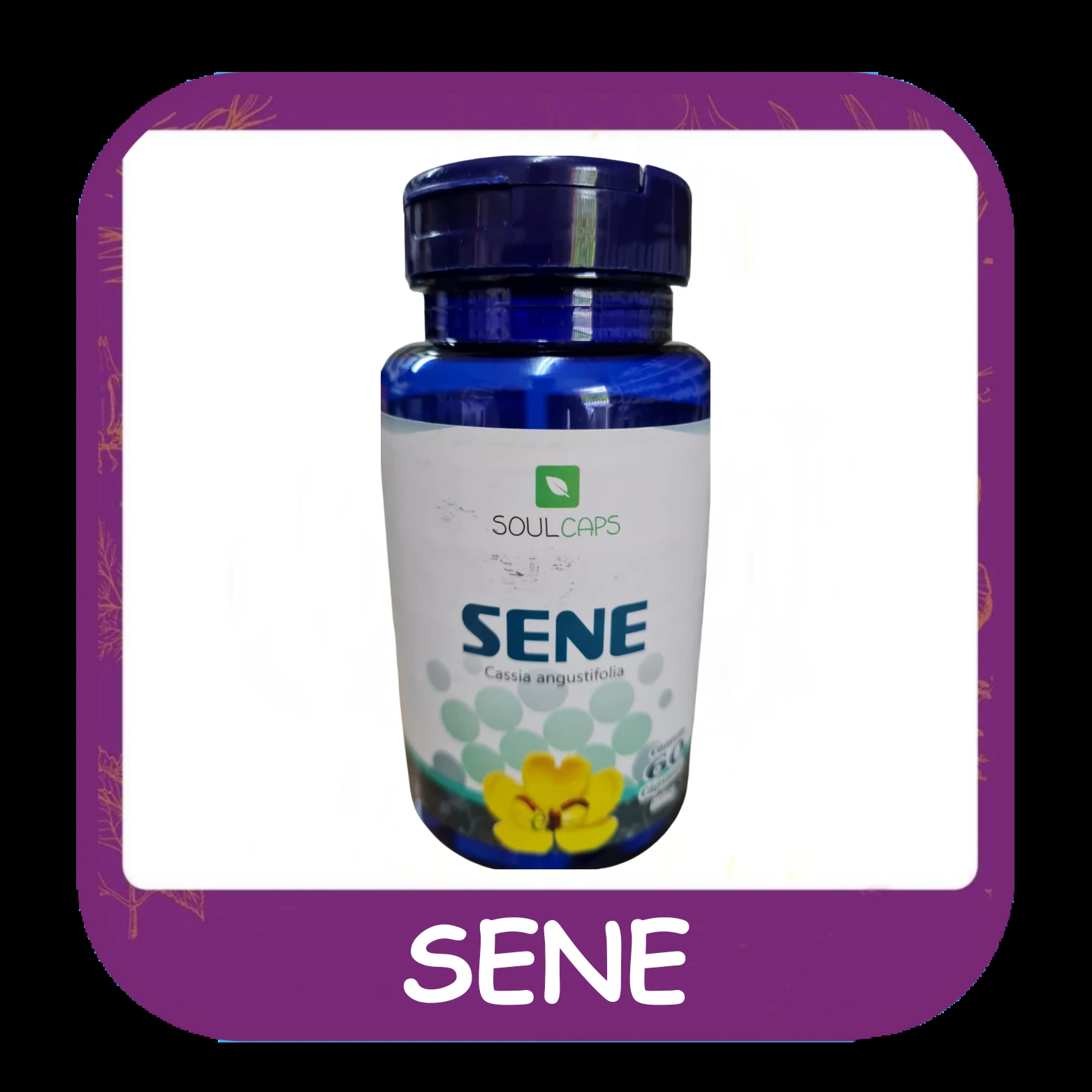 Sene — foto do cardápio Alho Mania