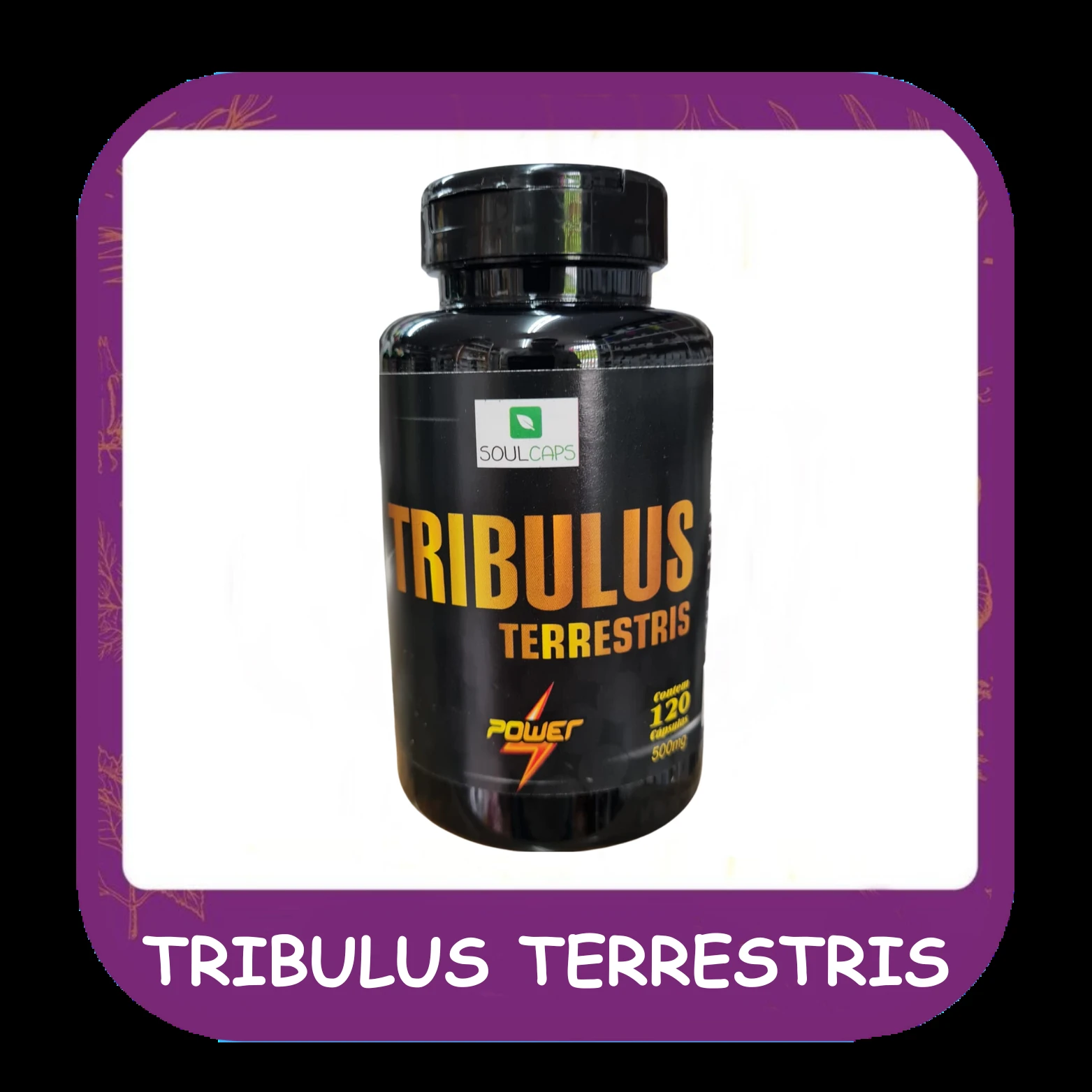 Tribulus terrestris — foto do cardápio Alho Mania