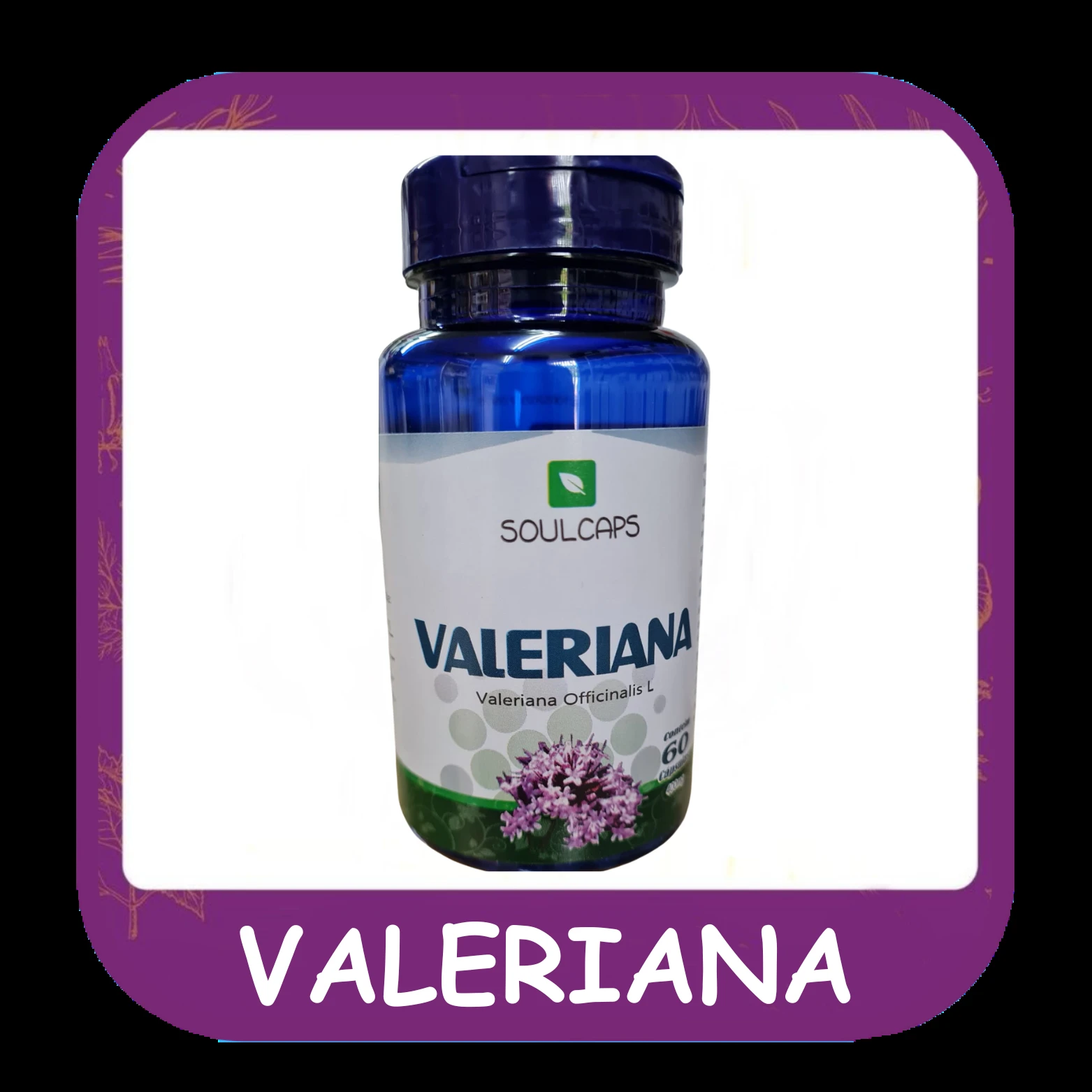 Valeriana — foto do cardápio Alho Mania